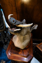 Load image into Gallery viewer, Taxidermy Warthog Head
