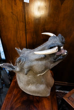 Load image into Gallery viewer, Taxidermy Warthog Head
