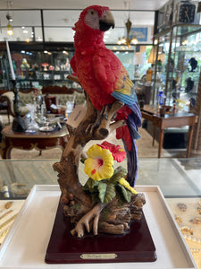 Porcelain Macaw Parrot De Capoli Collection