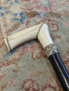 Walking Cane with Carved Ivory Handle