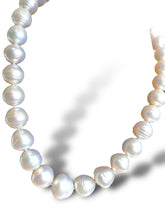 Load image into Gallery viewer, Strand of South Sea &quot;Circle&quot; Pearls 18kt YG Clasp
