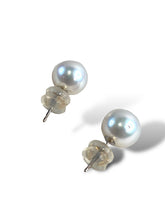 Load image into Gallery viewer, South Sea Pearl 9.2mm 18kt WG Studs
