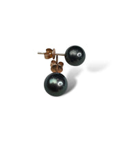 Load image into Gallery viewer, 9kt Rose Gold, Black Pearl Earrings (Studs)
