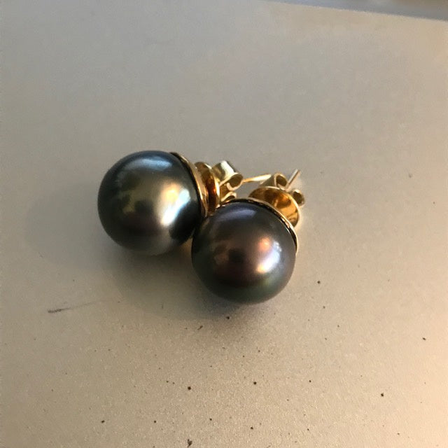 E202 /  Tahitian Pearl Studs in 18kt YG