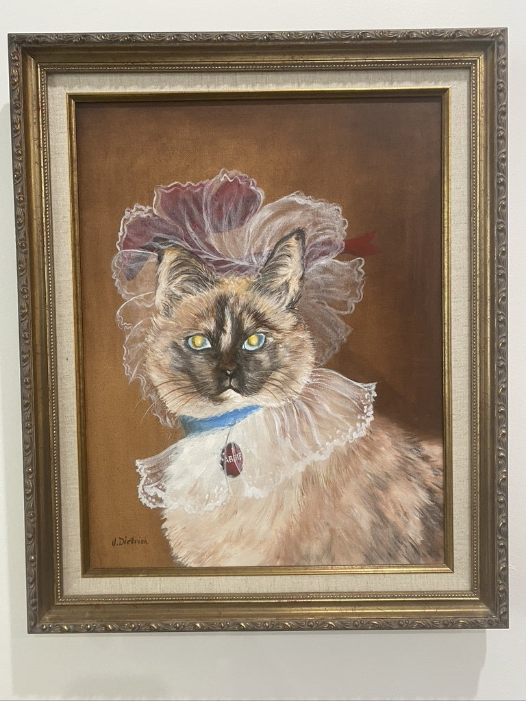 PM0501 portrait of a cat