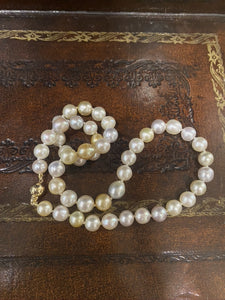 TA204417 pearl necklace with gold clasp