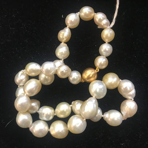 BM141303 / 9kt Clasp Gold South Sea Pearl Necklace - Antiques and Possibilities