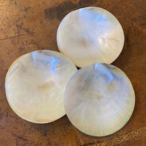 CU0315 Set of 8 Small Mother of Pearl Side Plates - Antiques and Possibilities