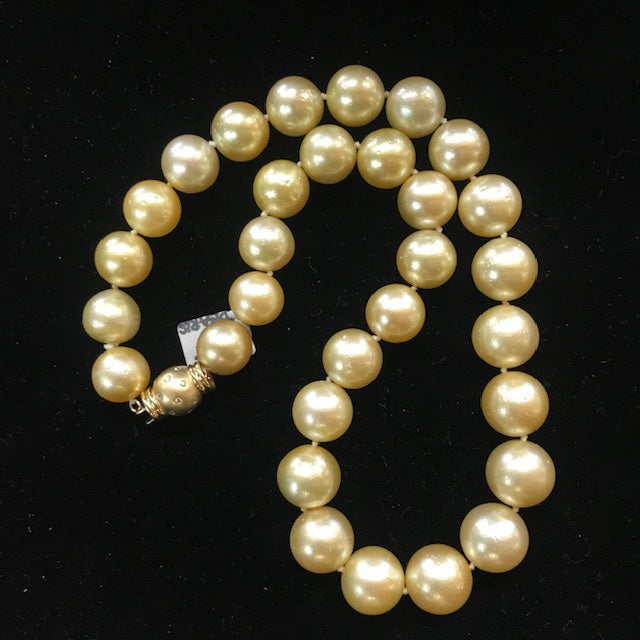 JN0586 Gold South Sea Pearl Strand - Antiques and Possibilities