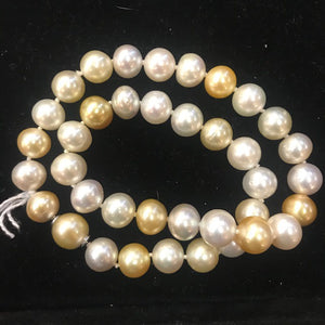 DB181308 / Integrated Clasp 38pcs Gold South Sea Pearls